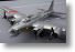 B-17 Flying Fortress (2).jpg
